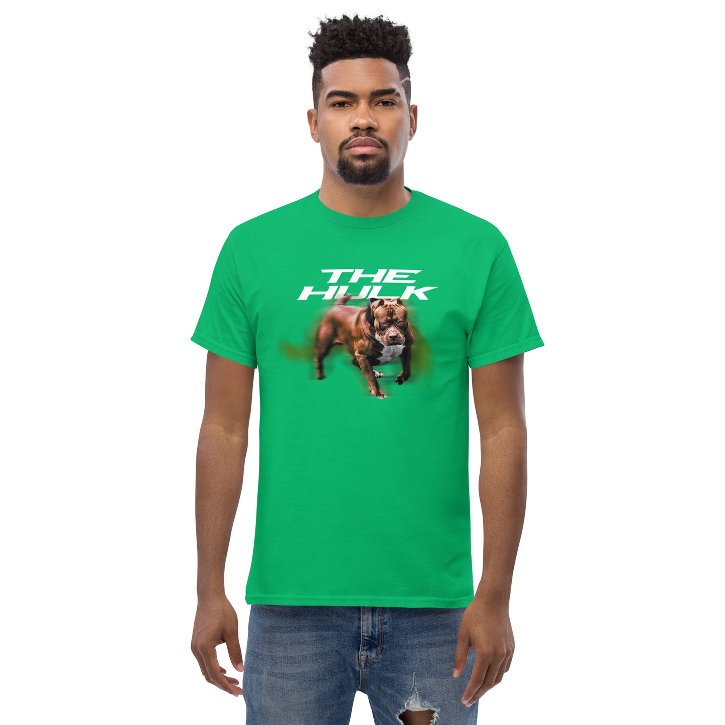 The Hulk Men's T Shirt