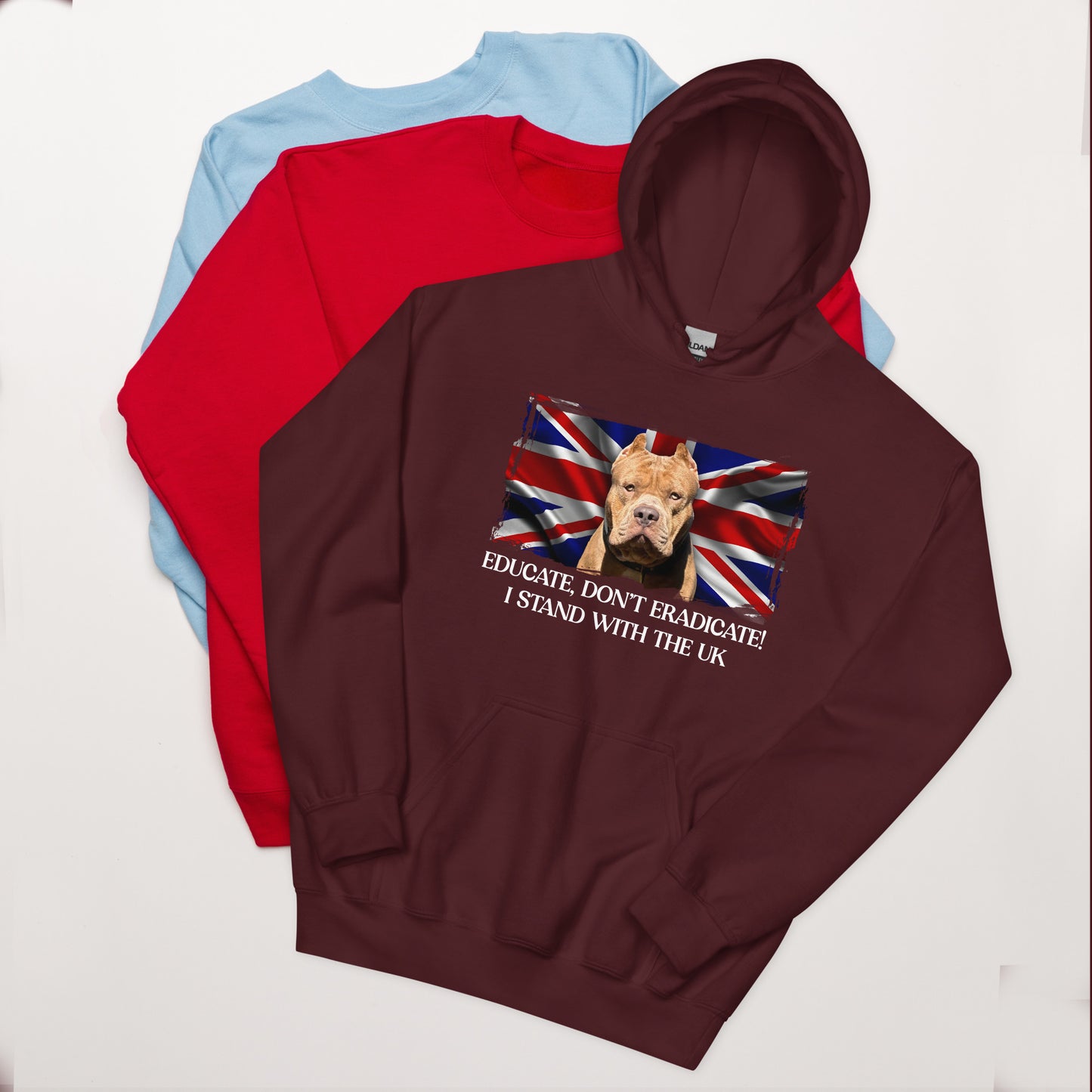 I Stand With The UK Hoodie