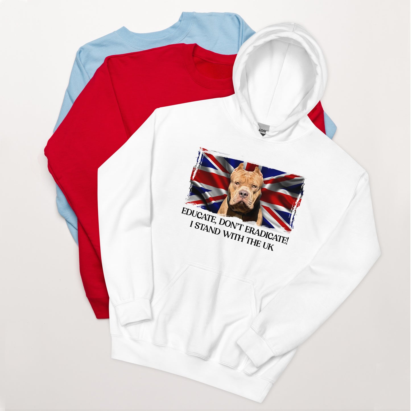I Stand With The UK Hoodie