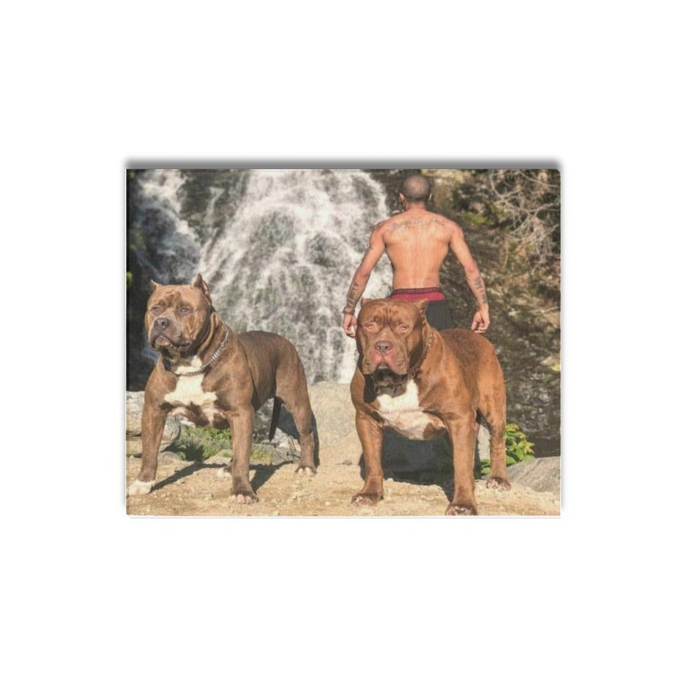 16 x 20 Kong and Hulk Waterfall