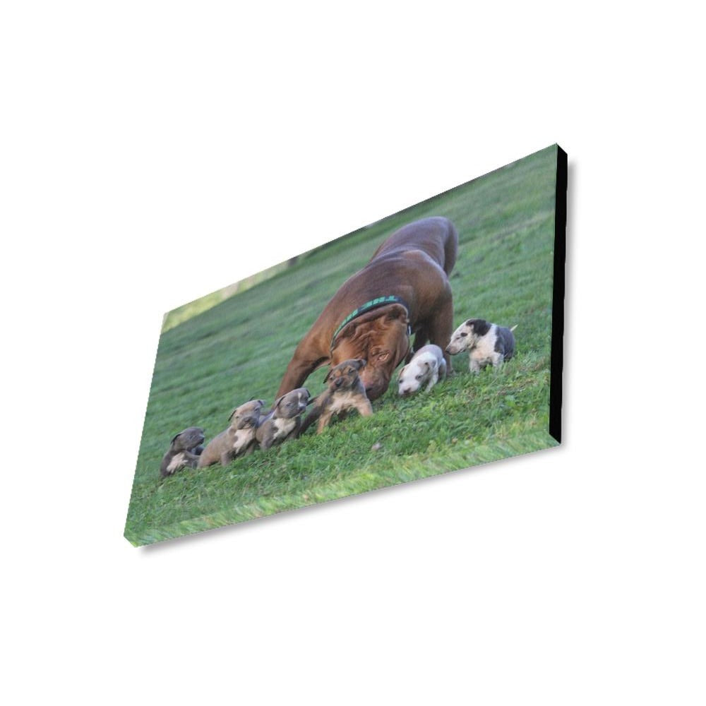 16 x 20 Hulk and Puppies Canvas