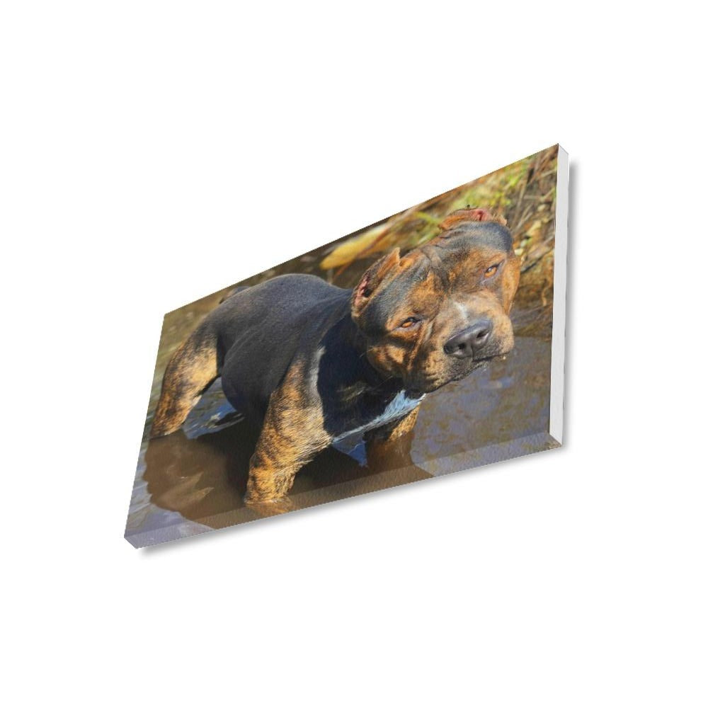 16 x 20 Sossa Canvas