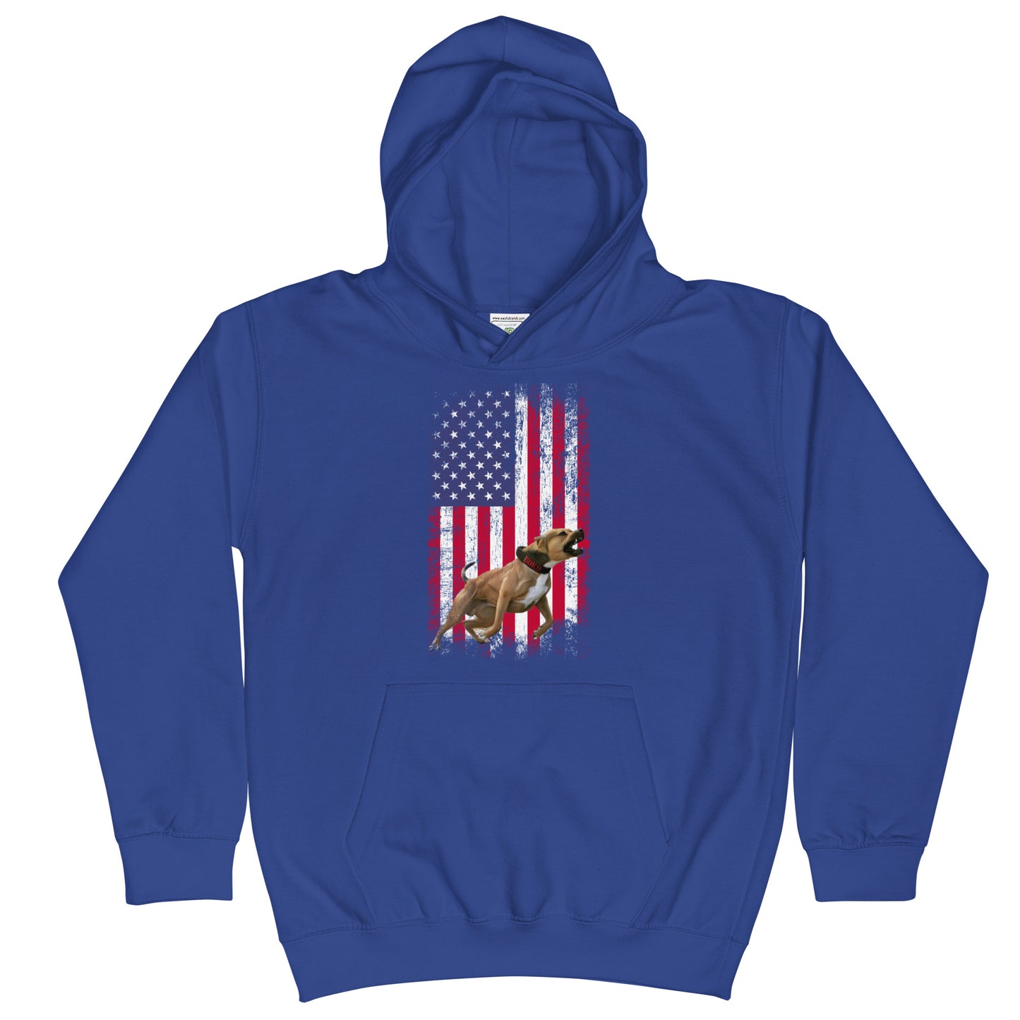 Ace USA Youth Hoodie