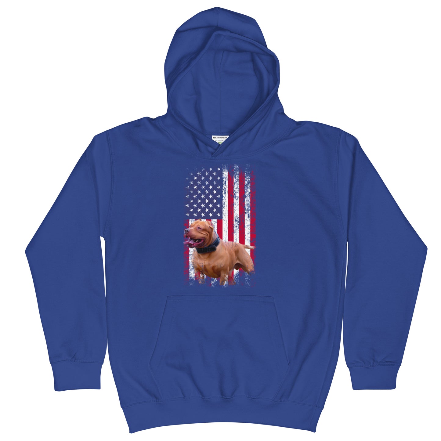 Zion USA Youth Hoodie