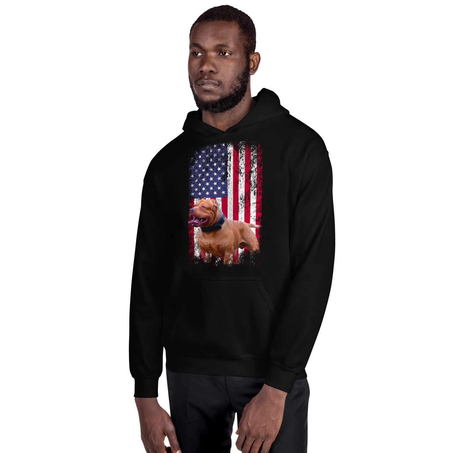 Zion USA Men's Hoodie