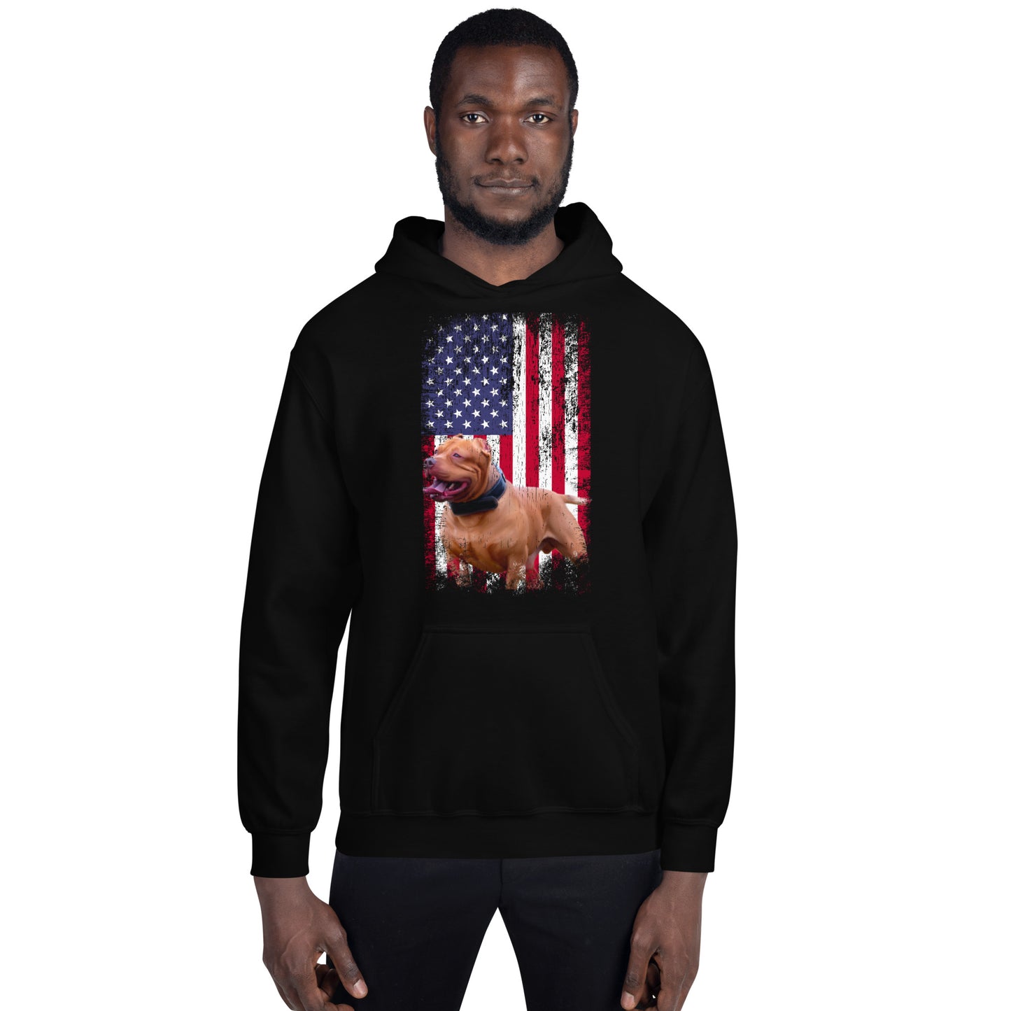 Zion USA Men's Hoodie