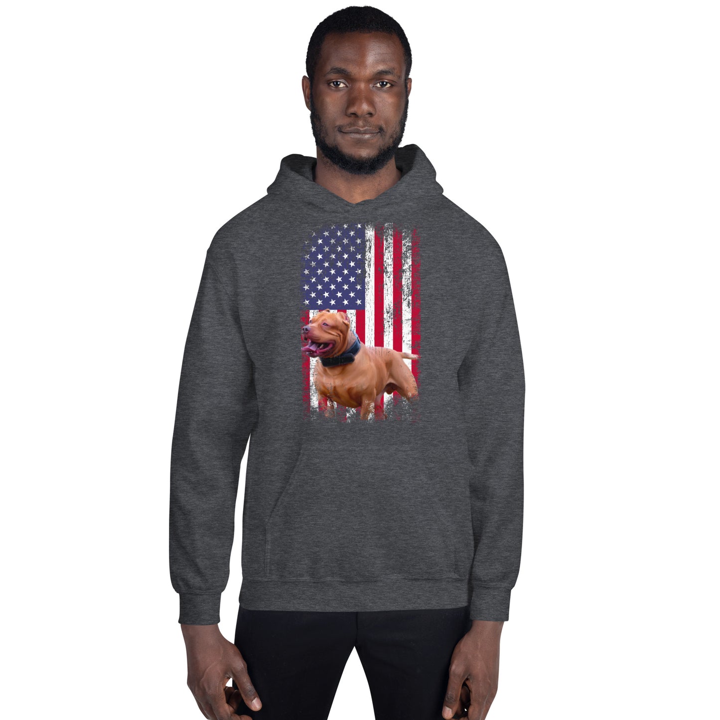Zion USA Men's Hoodie