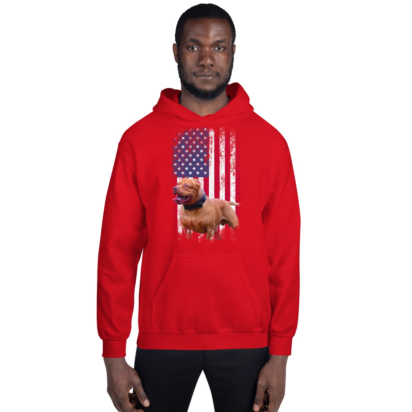 Zion USA Men's Hoodie