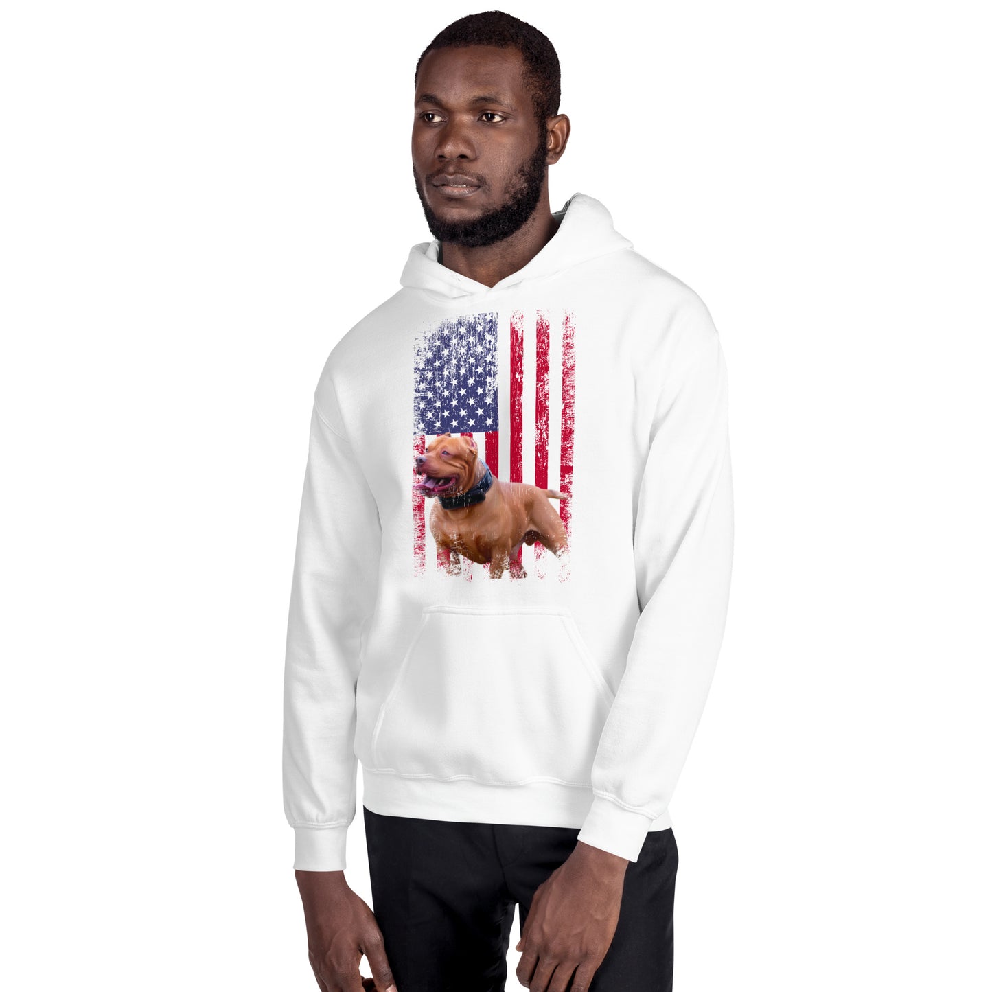 Zion USA Men's Hoodie