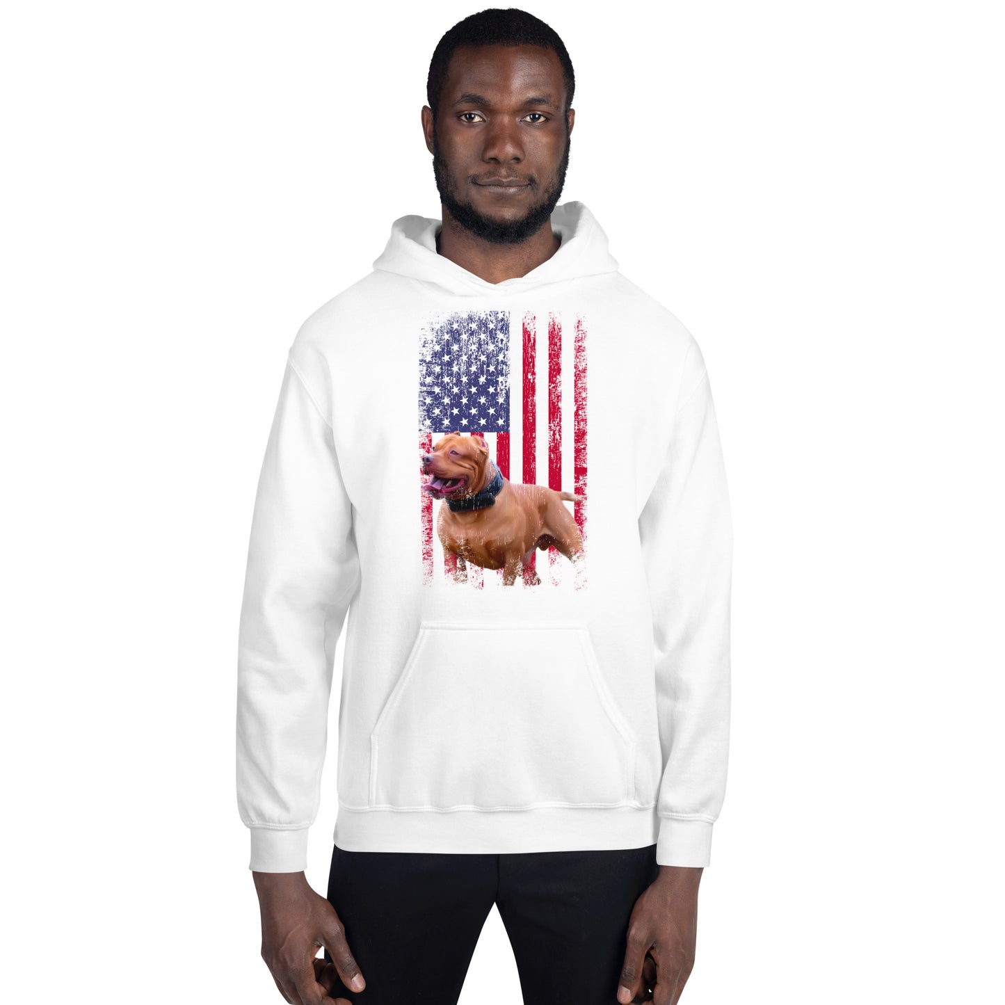 Zion USA Men's Hoodie