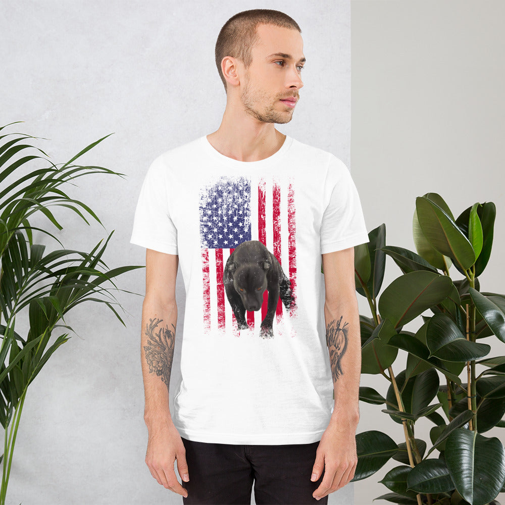 Lola USA Men's t-shirt