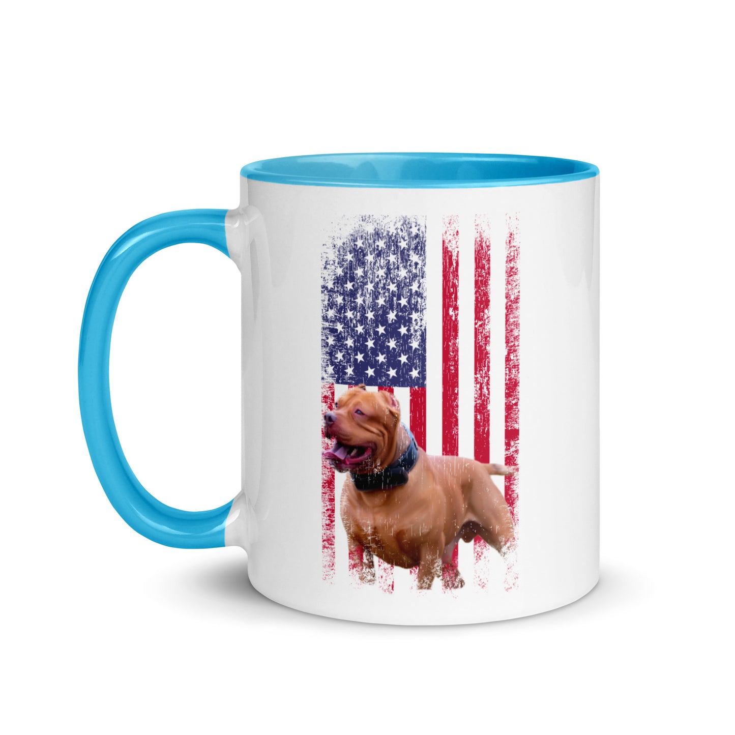 Zion USA Mug with Color Inside