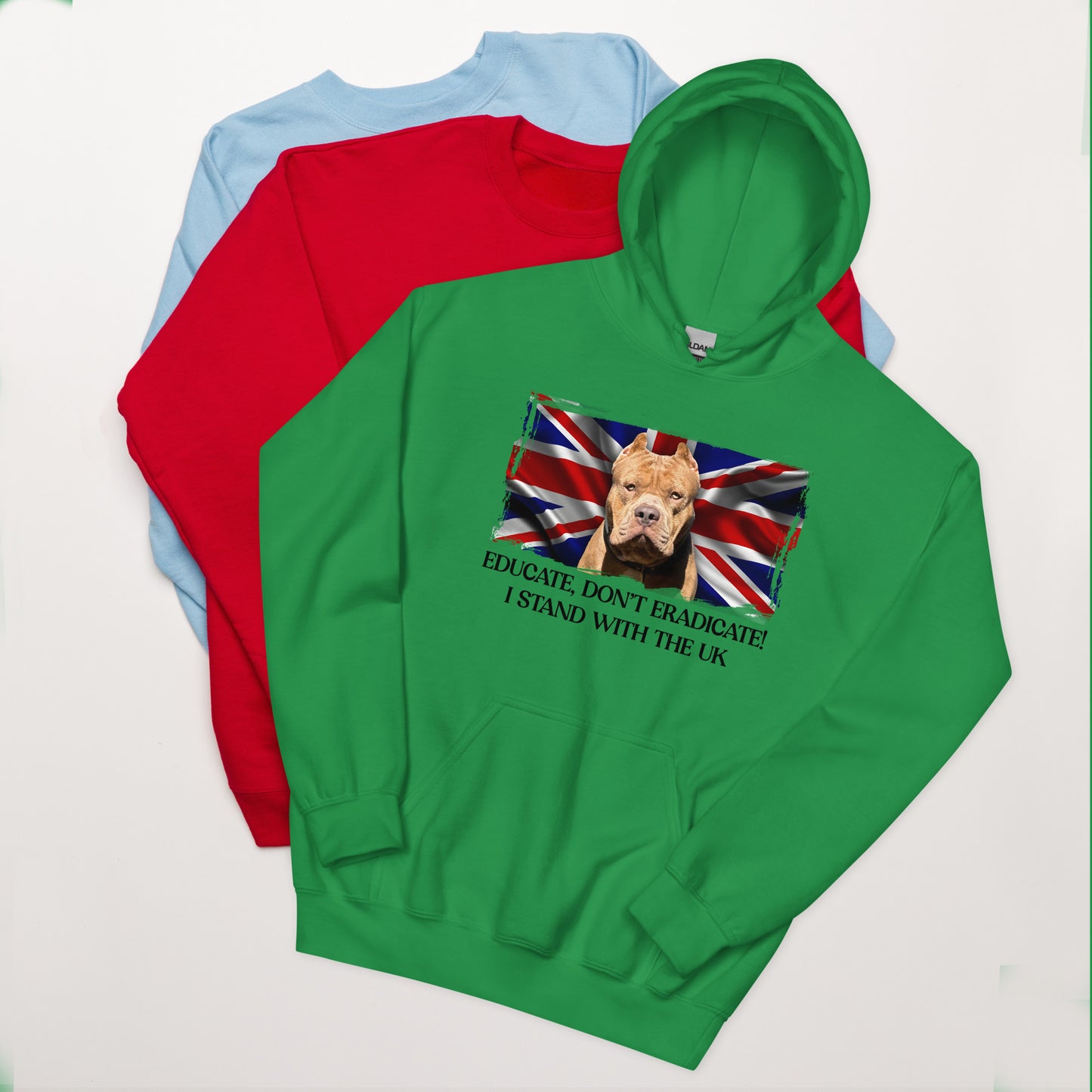 I Stand With The UK Hoodie