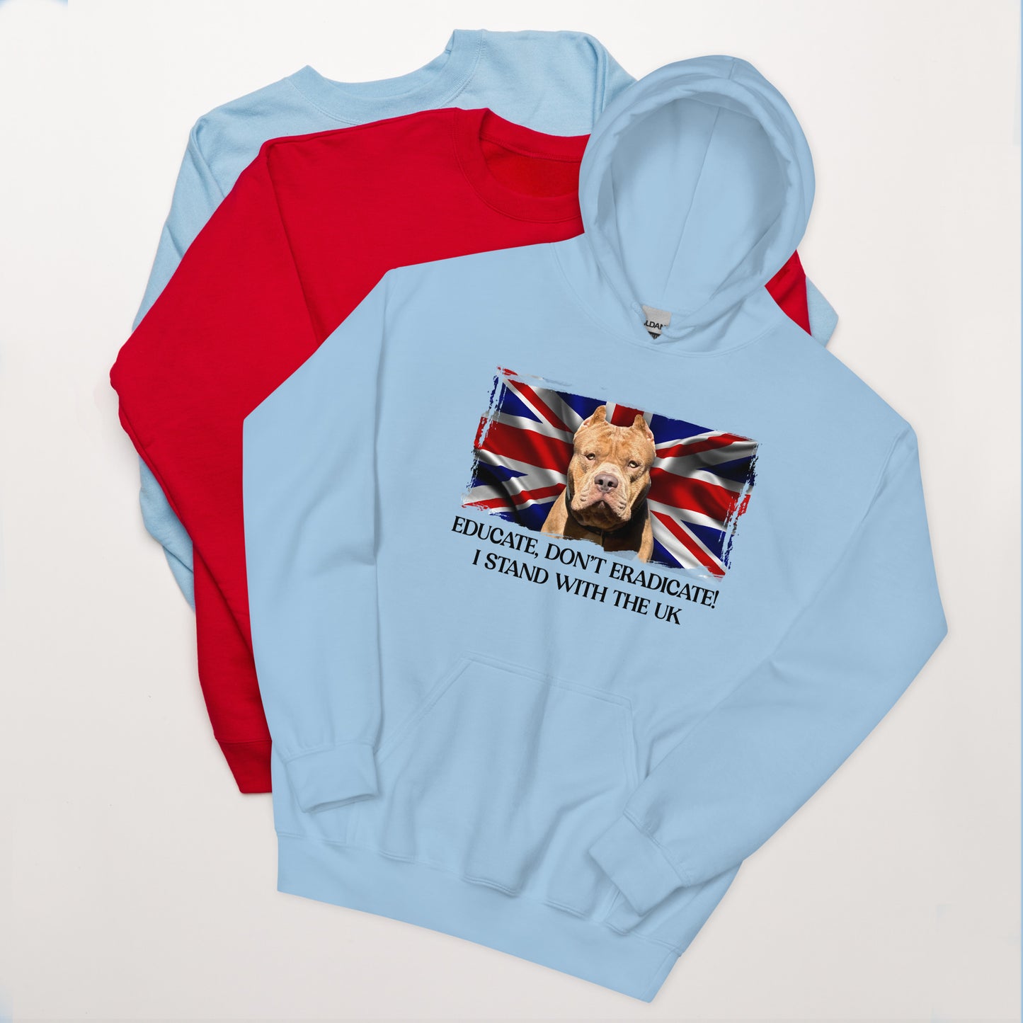 I Stand With The UK Hoodie