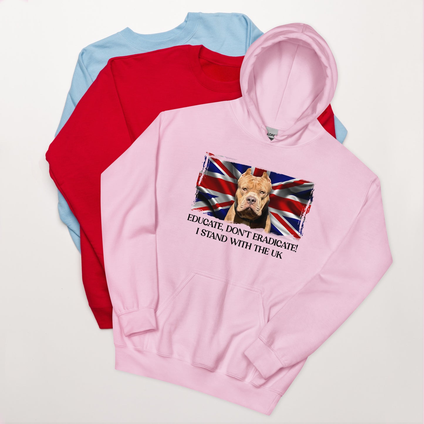 I Stand With The UK Hoodie