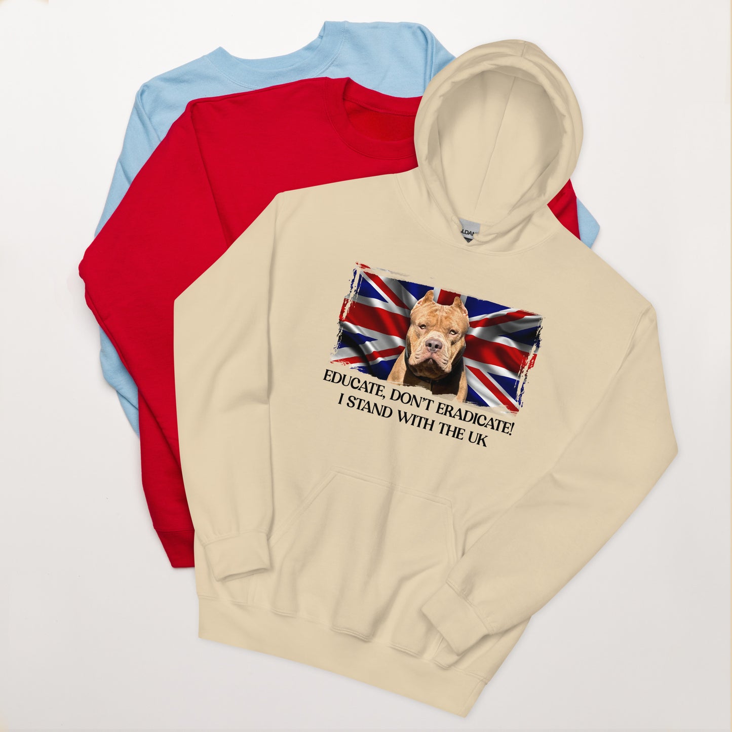 I Stand With The UK Hoodie