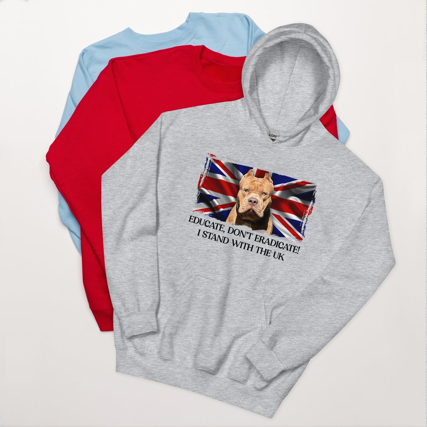 I Stand With The UK Hoodie