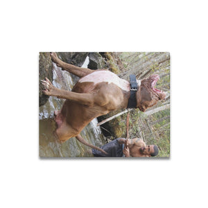 16 x 20 Hulk River Canvas