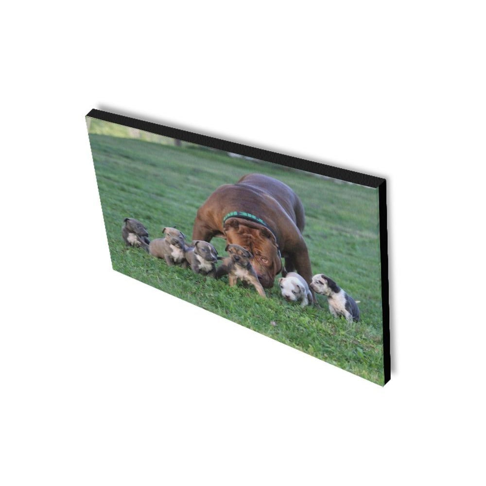 16 x 20 Hulk and Puppies Canvas
