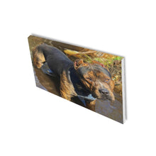 Load image into Gallery viewer, 16 x 20 Sossa Canvas