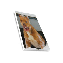 Load image into Gallery viewer, 16 x 20 Nicki Minaj Canvas