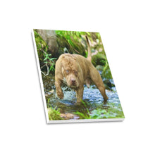 Load image into Gallery viewer, 16 x 20 Simba Canvas
