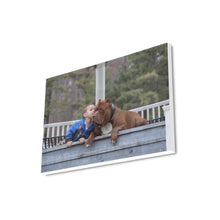 Load image into Gallery viewer, 16 x 20 Gentle Hulk Canvas