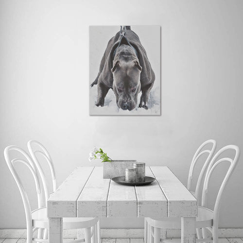 16 x 20 Kobe Snow