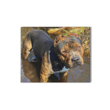Load image into Gallery viewer, 16 x 20 Sossa Canvas