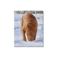 Load image into Gallery viewer, 16 x 20 Big Guy Canvas