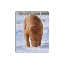 Load image into Gallery viewer, 16 x 20 Big Guy Canvas