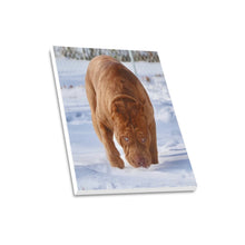 Load image into Gallery viewer, 16 x 20 Big Guy Canvas