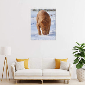 16 x 20 Big Guy Canvas