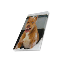 Load image into Gallery viewer, 16 x 20 Nicki Minaj Canvas