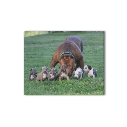 16 x 20 Hulk and Puppies Canvas