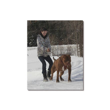 Load image into Gallery viewer, 16 x 20 Lisa Training
