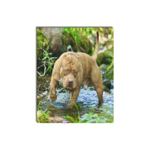 Load image into Gallery viewer, 16 x 20 Simba Canvas