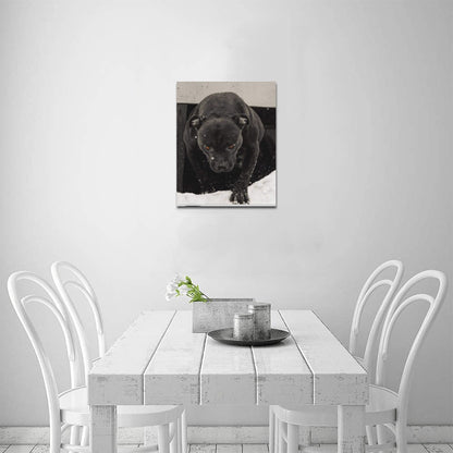 16 x 20 Lola Canvas