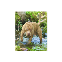 Load image into Gallery viewer, 16 x 20 Simba Canvas