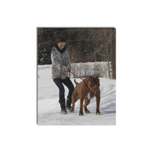 Load image into Gallery viewer, 16 x 20 Lisa Training