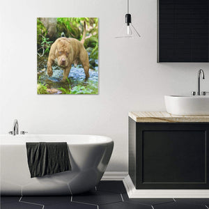 16 x 20 Simba Canvas