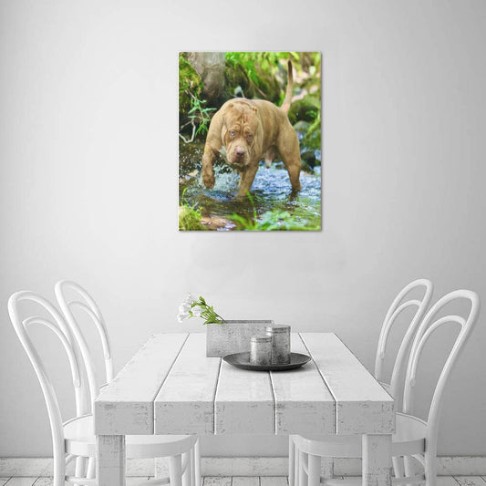 16 x 20 Simba Canvas
