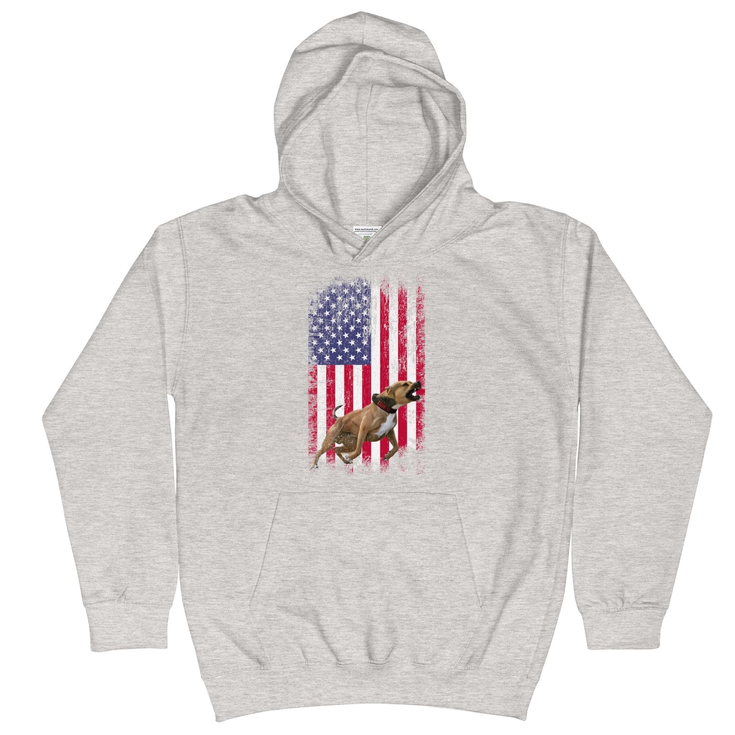 Ace USA Youth Hoodie