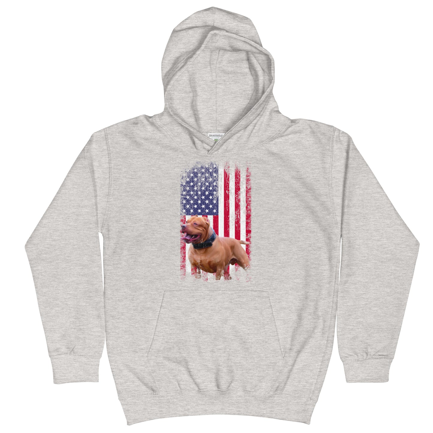 Zion USA Youth Hoodie