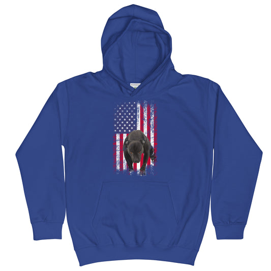 Lola USA Youth Hoodie