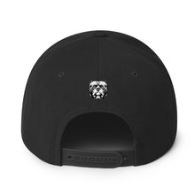 Load image into Gallery viewer, DDK Snapback Hat