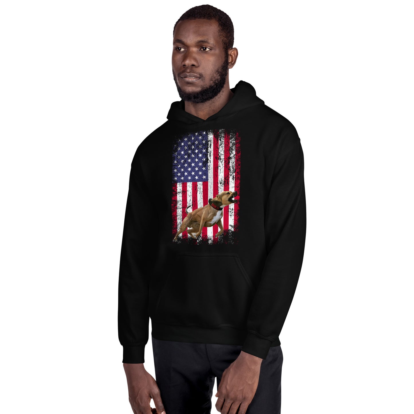 Ace USA Men's Hoodie
