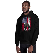 Load image into Gallery viewer, Lola USA Men&#39;s Hoodie