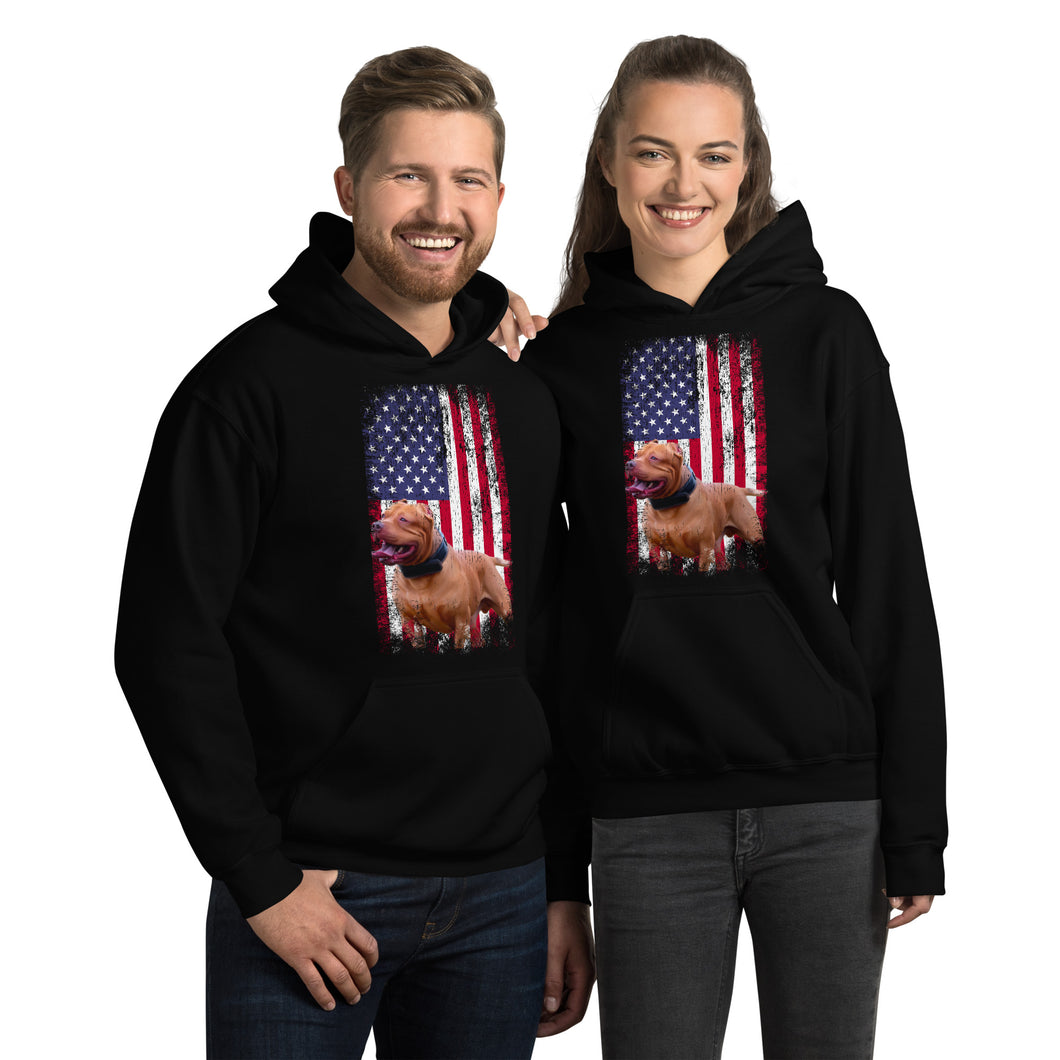 Zion USA Unisex Hoodie