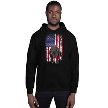 Load image into Gallery viewer, Lola USA Men&#39;s Hoodie